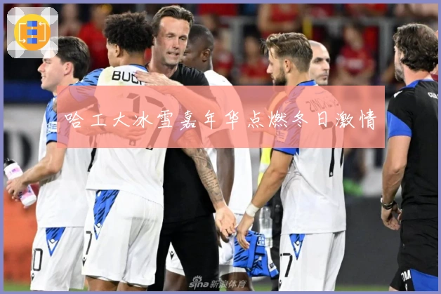 哈工大冰雪嘉年华点燃冬日激情