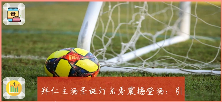 拜仁主场圣诞灯光秀震撼登场，引发热议